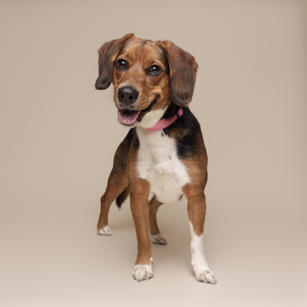 Photo of Annie 6