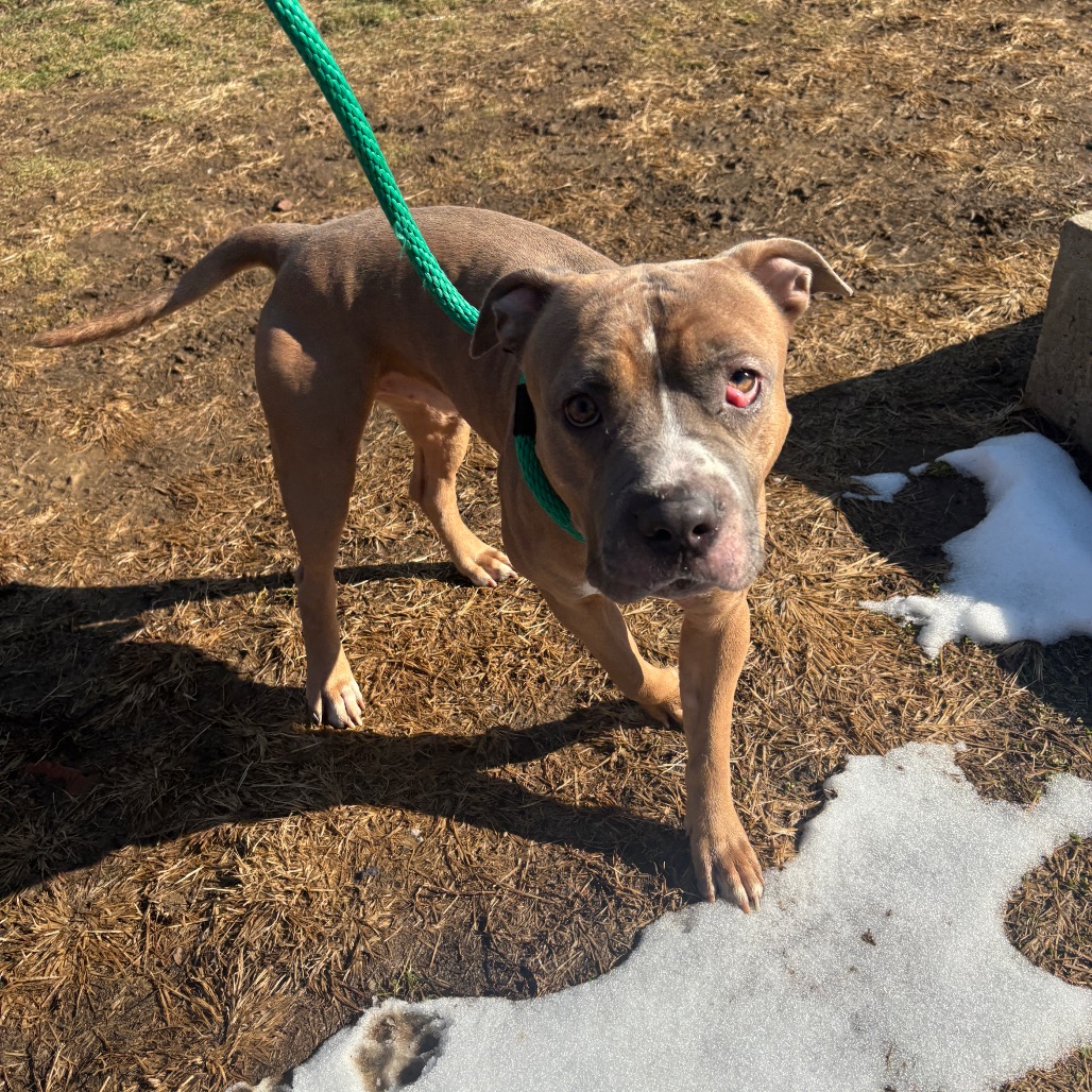 Ice Cube — thumbnail 4