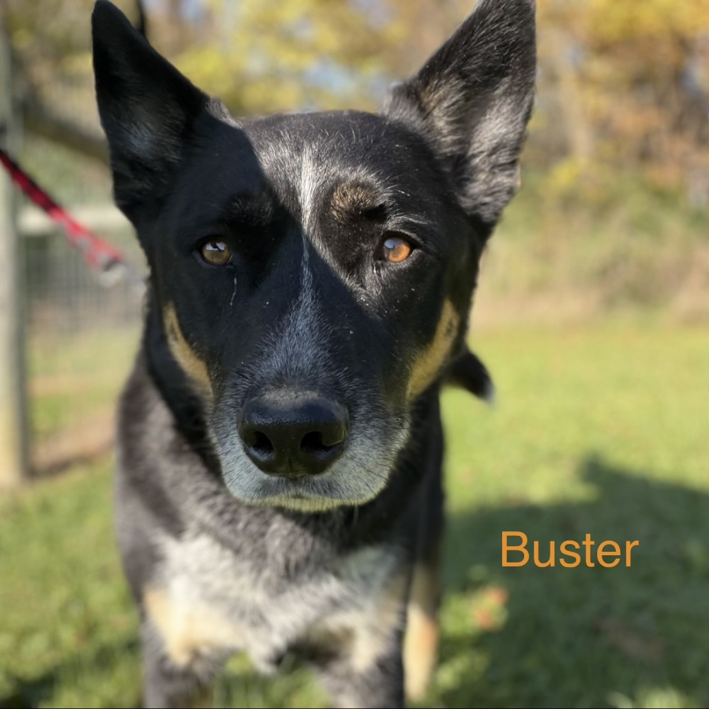 Buster