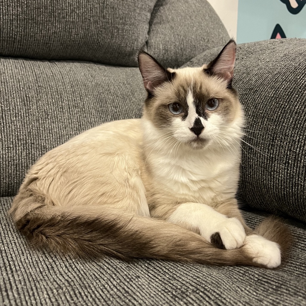 Athena