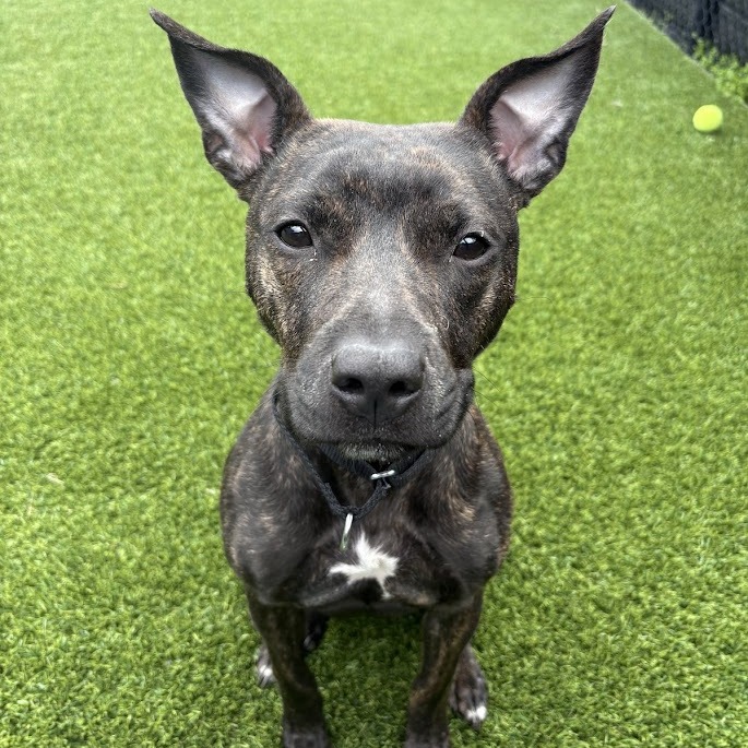 Photo of Root Beer 5