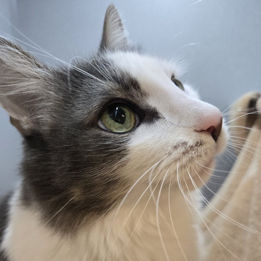 Photo of Ralph 5