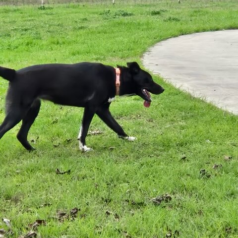 Sabrina, photo 10