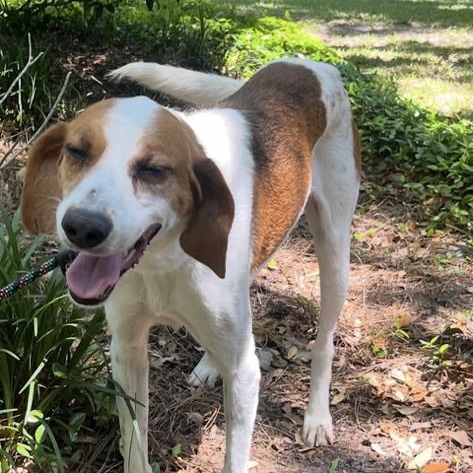 Tony — thumbnail 2