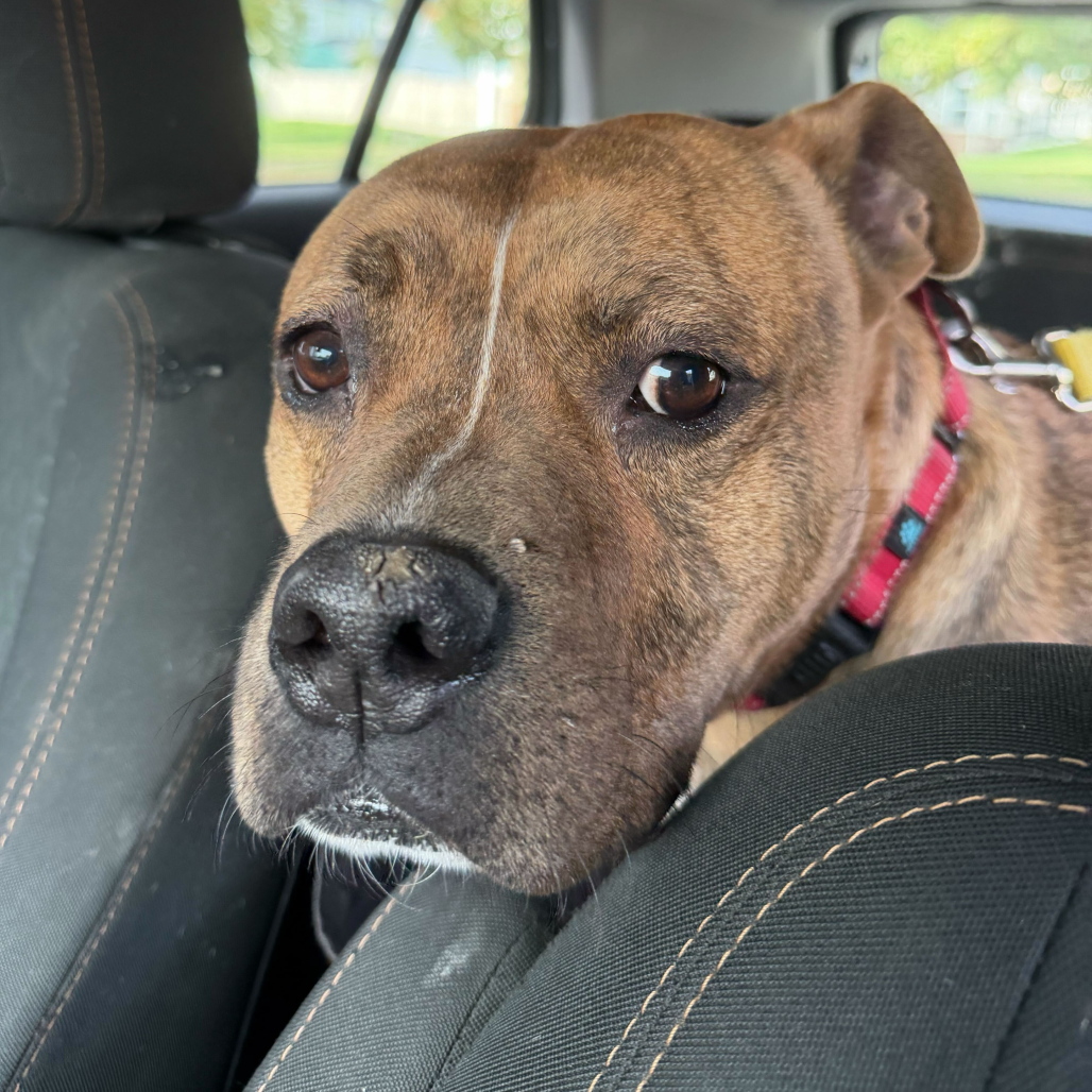 Zeus, additional photo