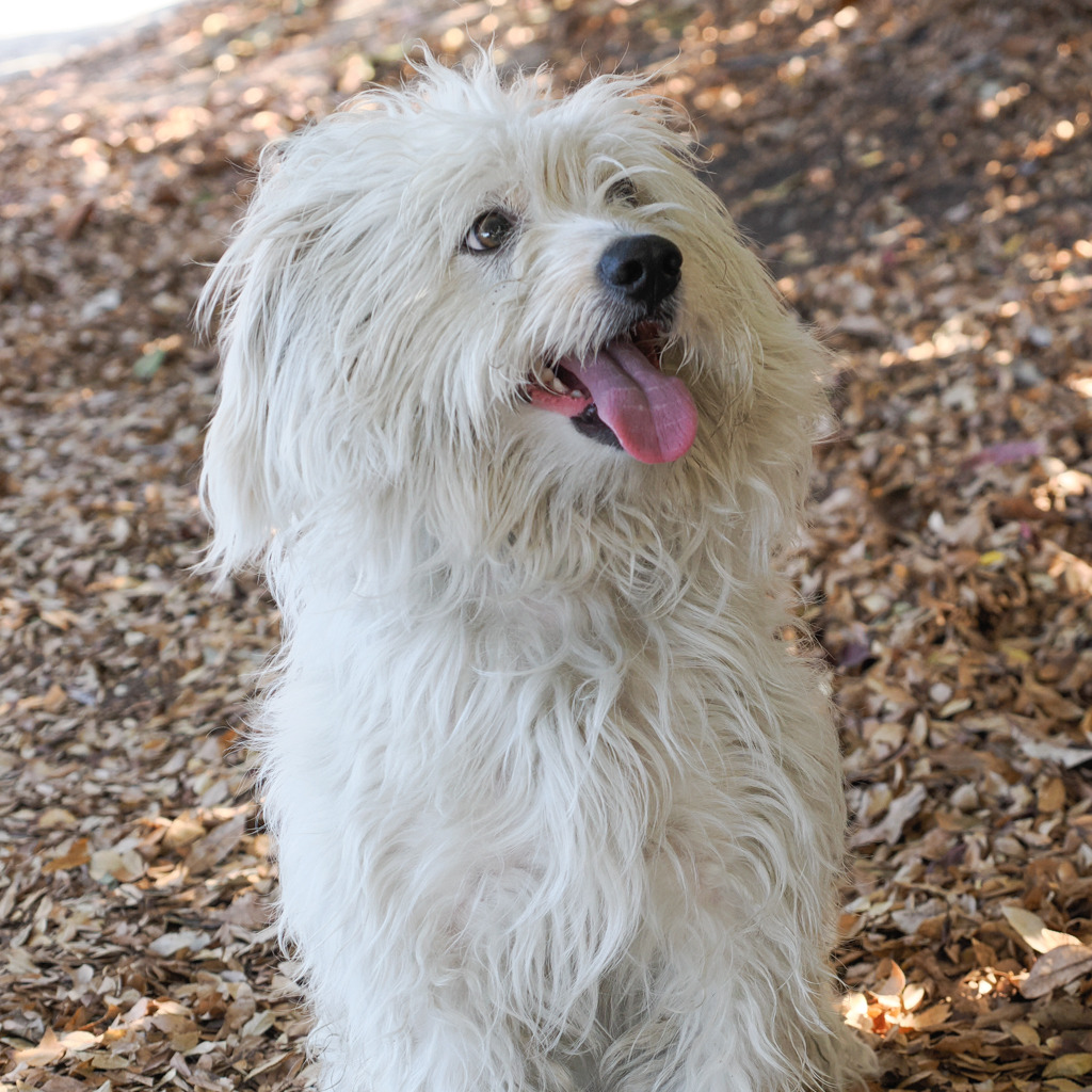 JACK, photo 7