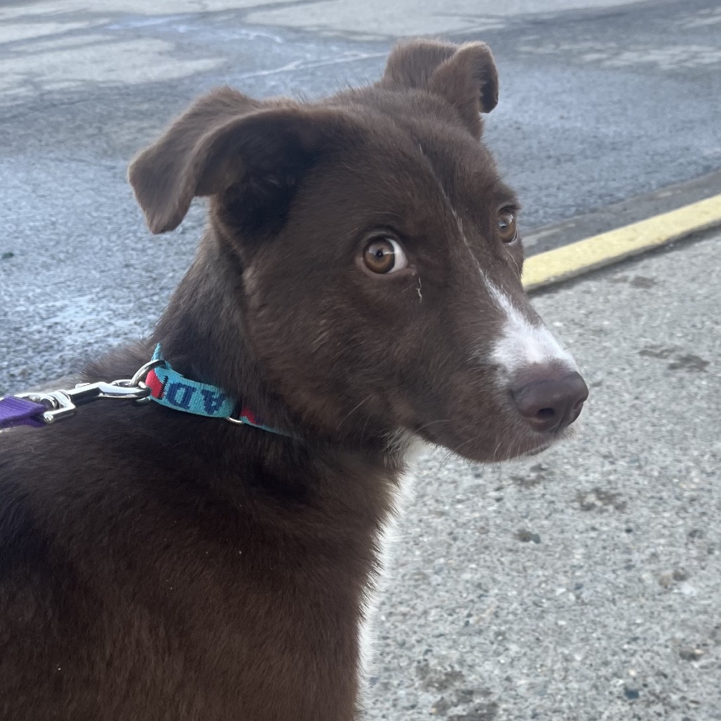 Bristol — thumbnail 9