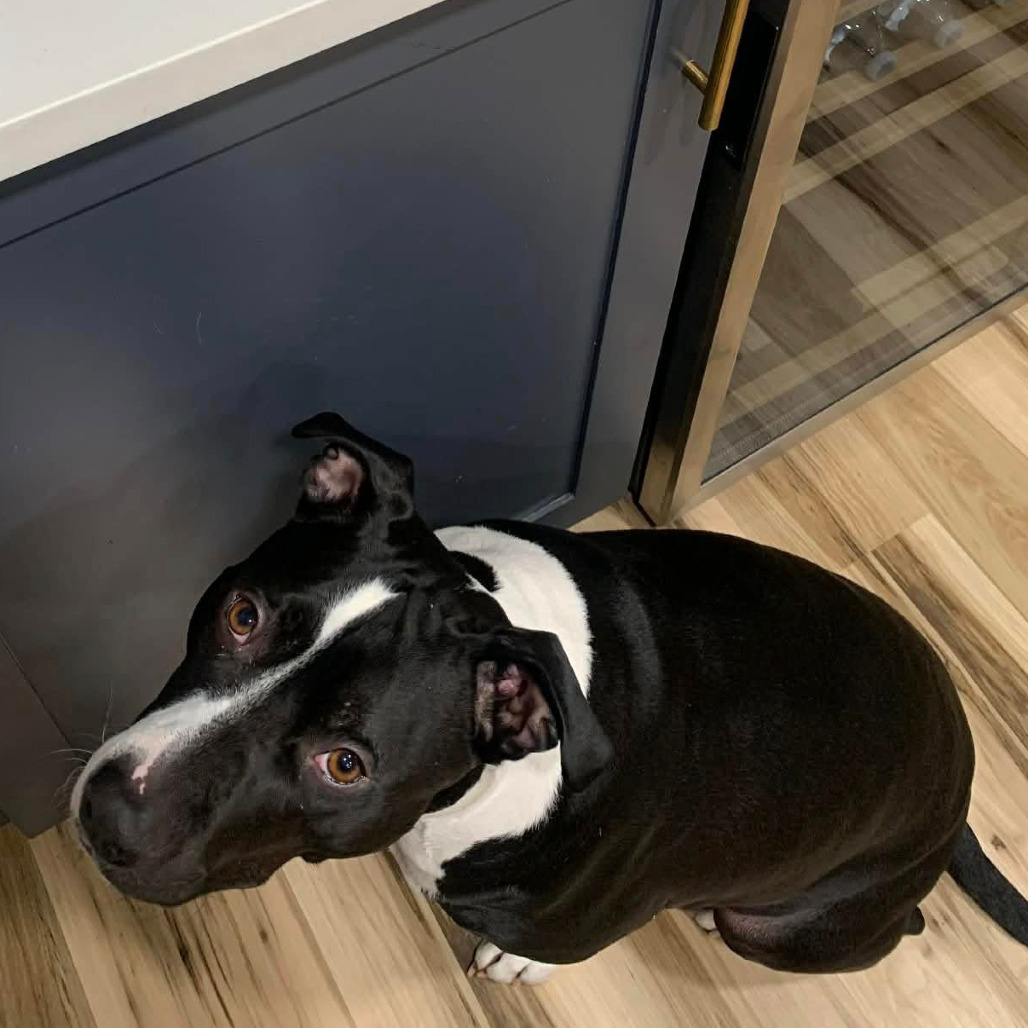 Photo of General Tso 82