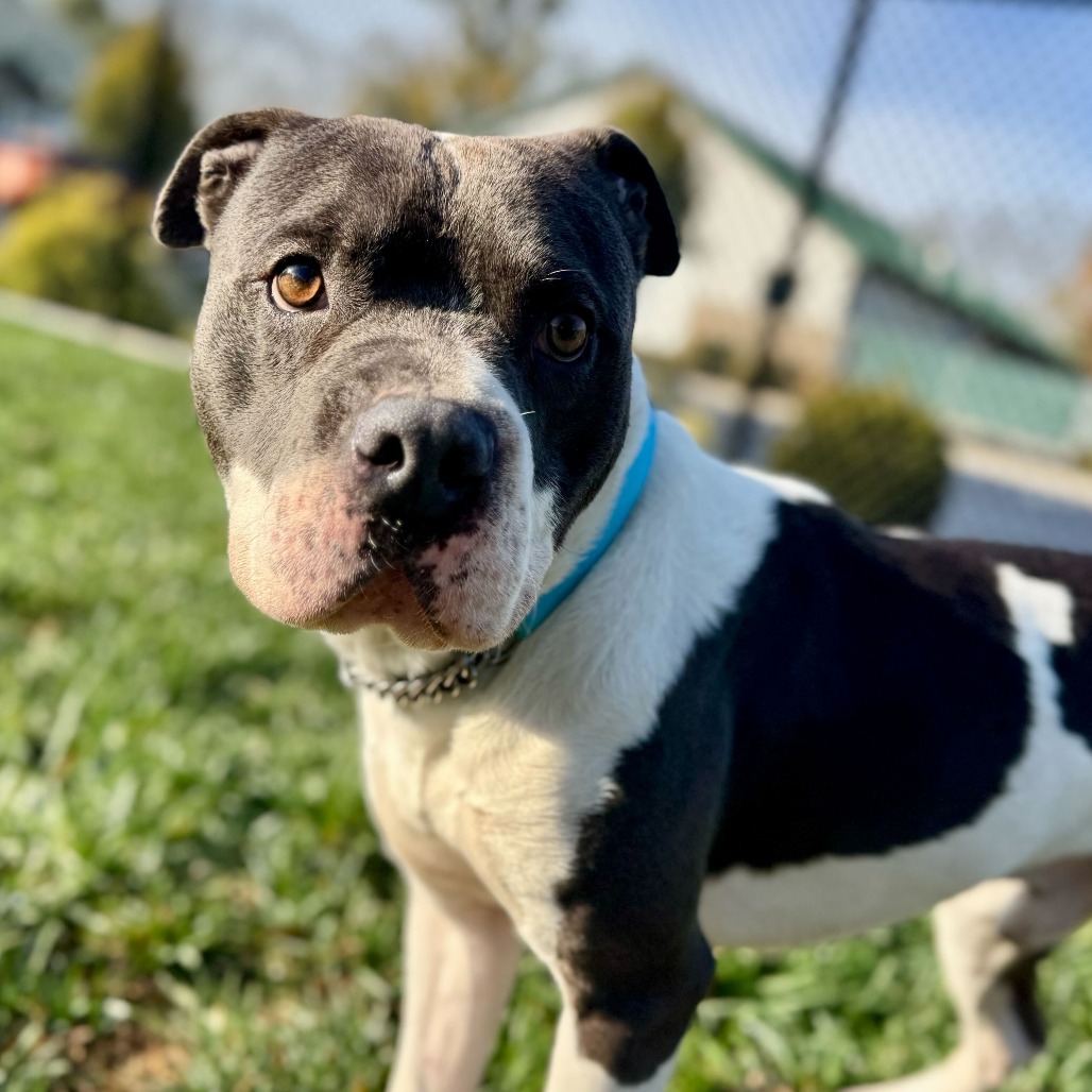 ZaZu — thumbnail 5