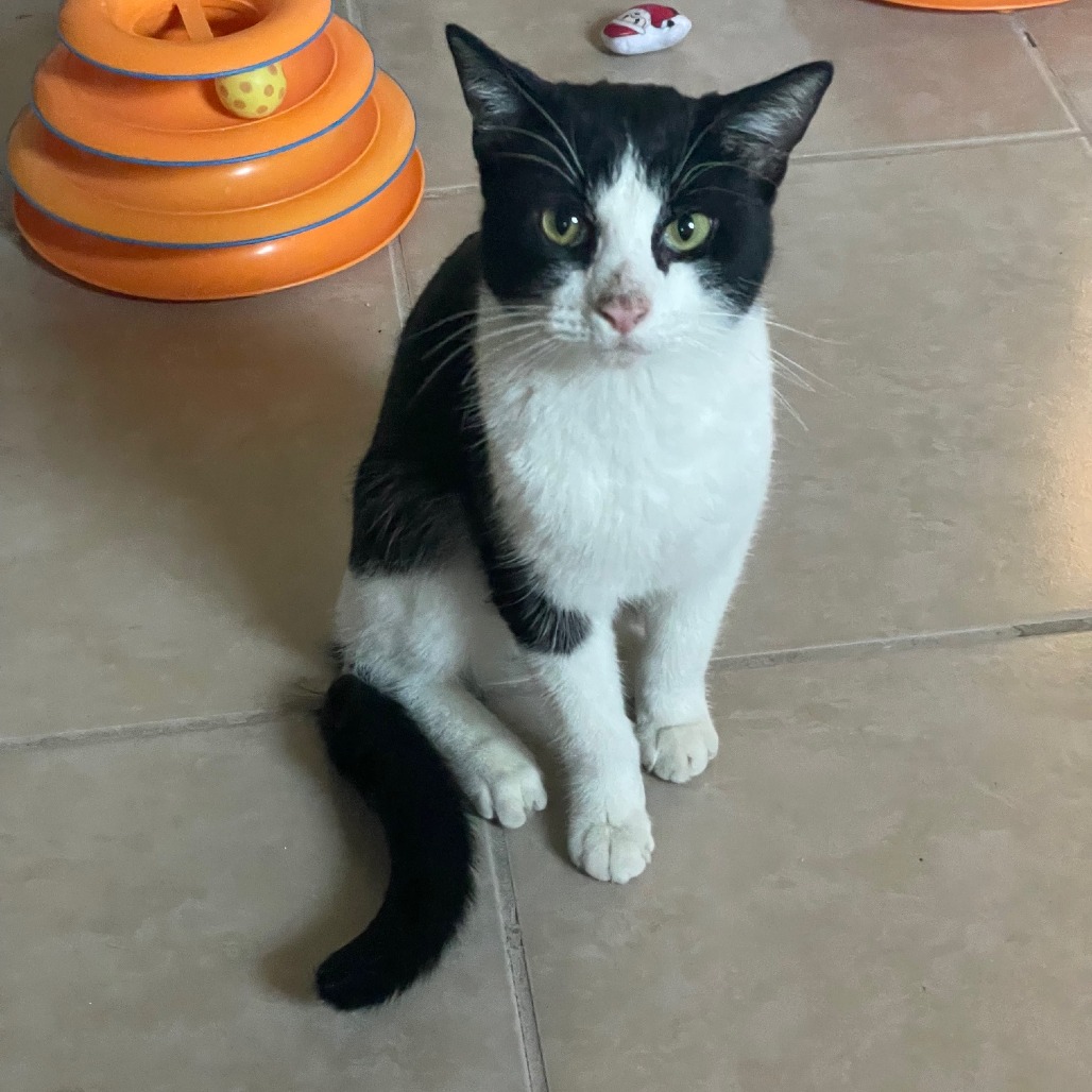 Simon — thumbnail 4