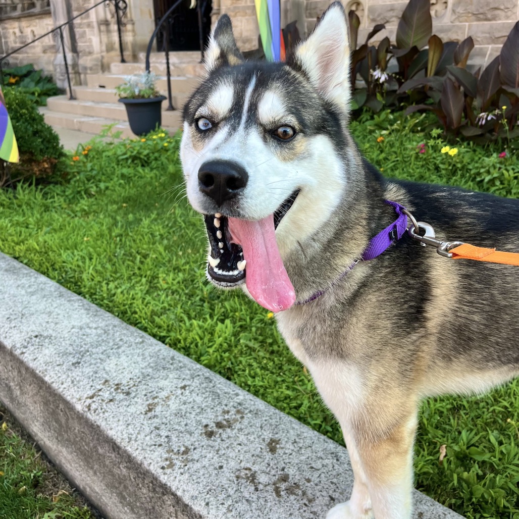 Photo of Artemis 