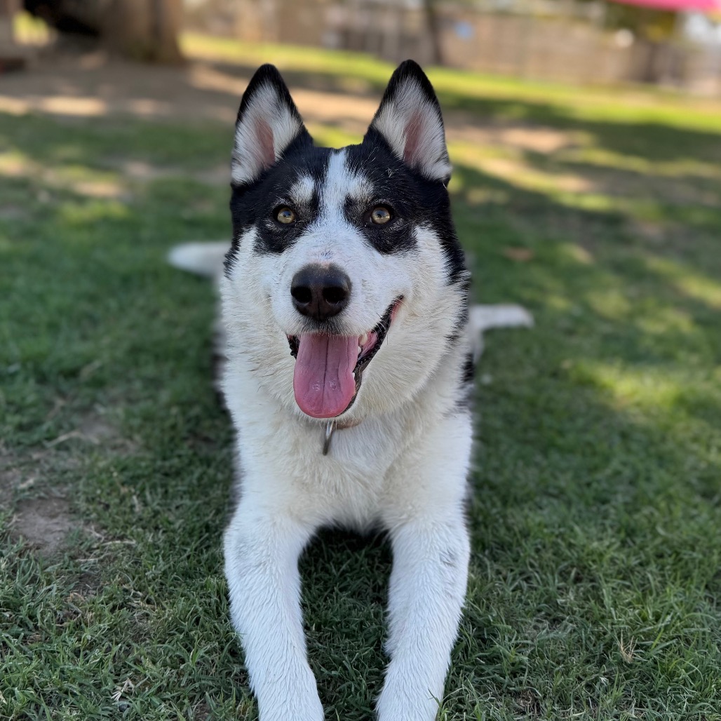 Gwen — thumbnail 3