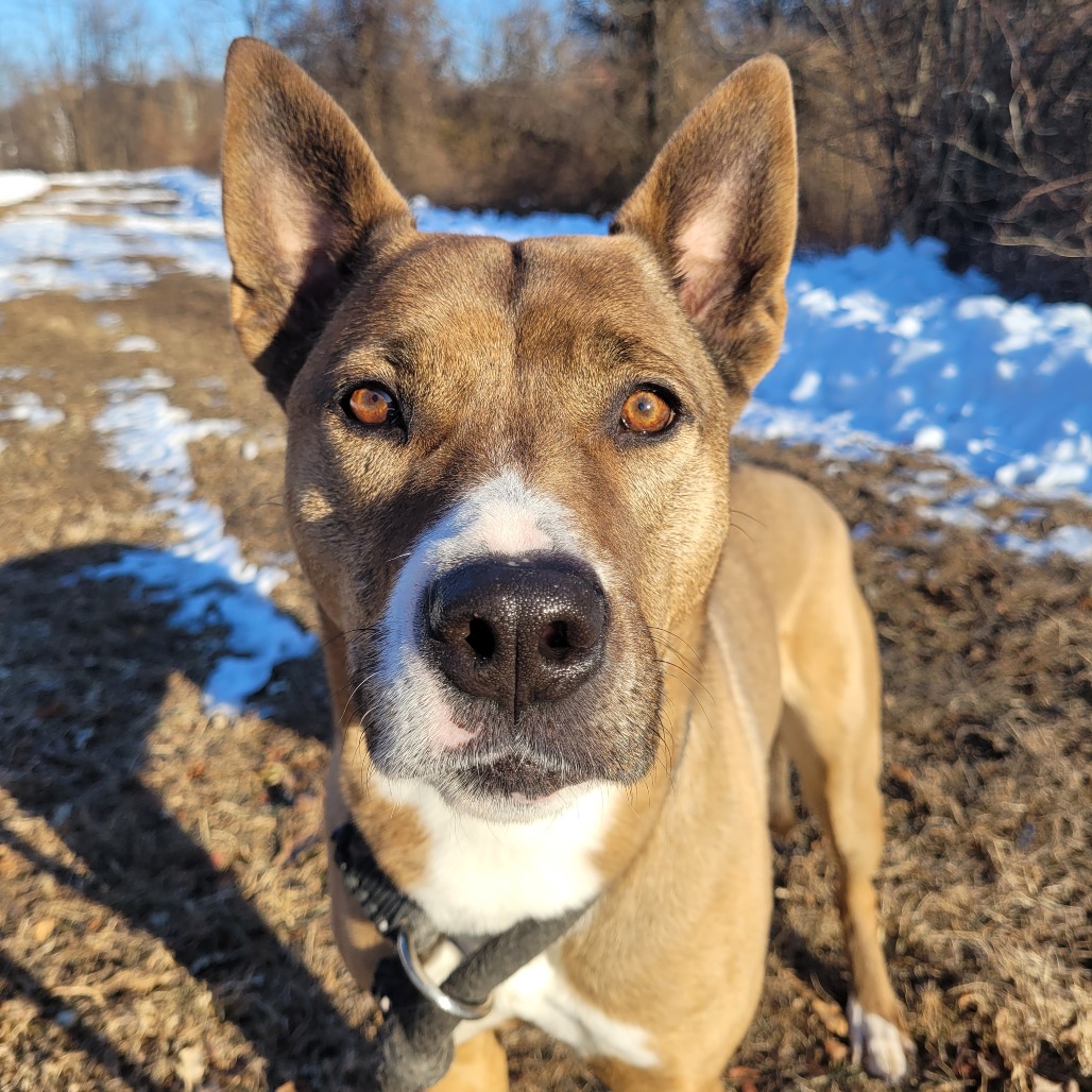 dceb59712447f3c4e538009fa9ca460d