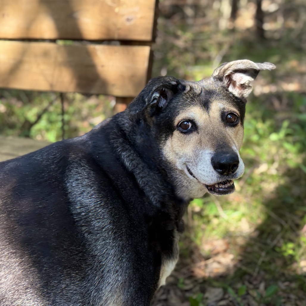 MADDY, photo 6