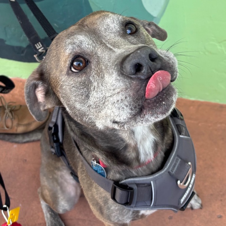 Full body shot of Homer