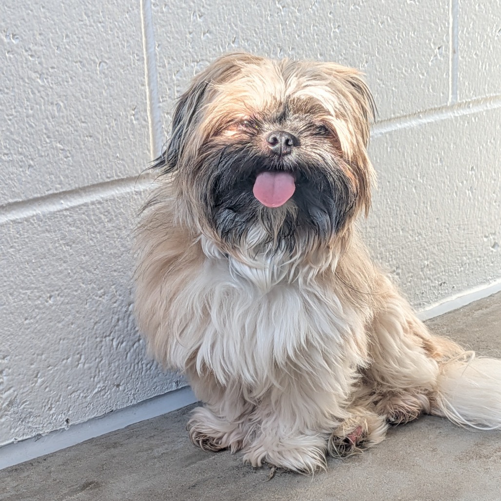 Photo of Marvin 4