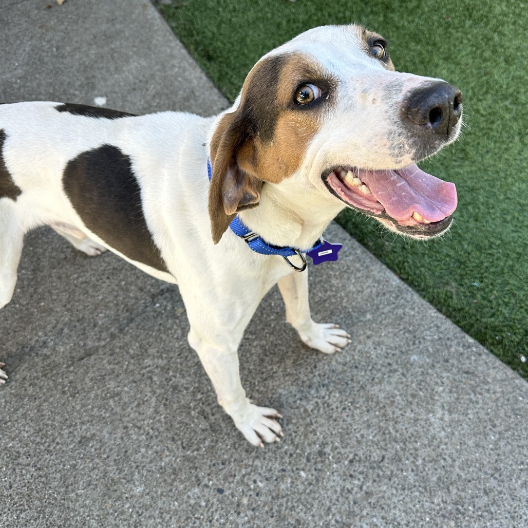 Zeke — thumbnail 2