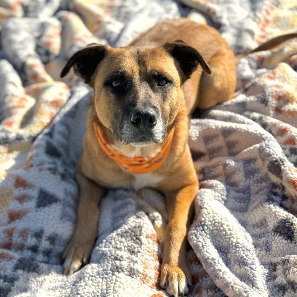 Bubz, photo 27