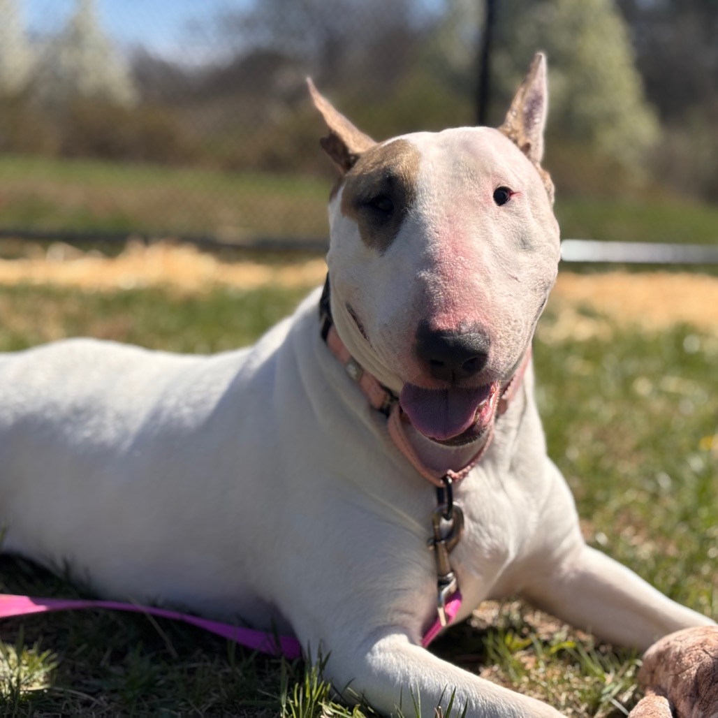 ee9c52c46769a3452ebb54c1e0489a52