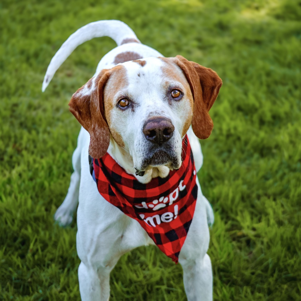 BUDDY BOY, photo 8