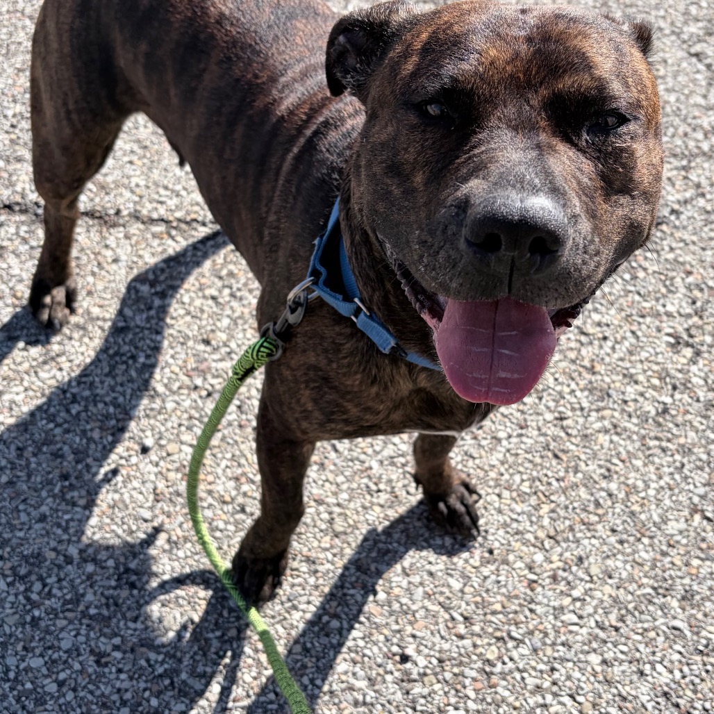 Photo of Dora the Explorer 3