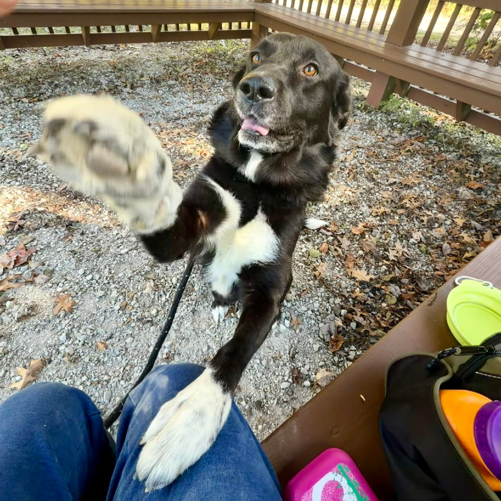Daisy Jo, photo 16