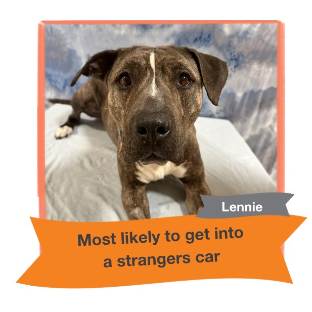 Lennie, photo 20