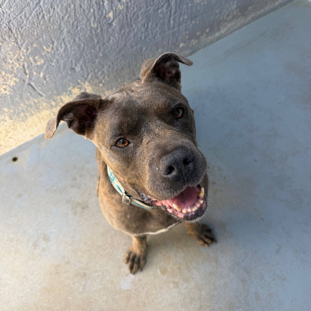 NALA BELL, photo 17