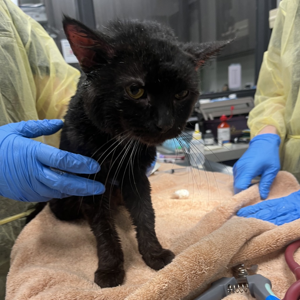 Erik — thumbnail 2