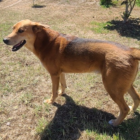Zeus, photo 2