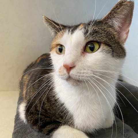 Marie — thumbnail 2