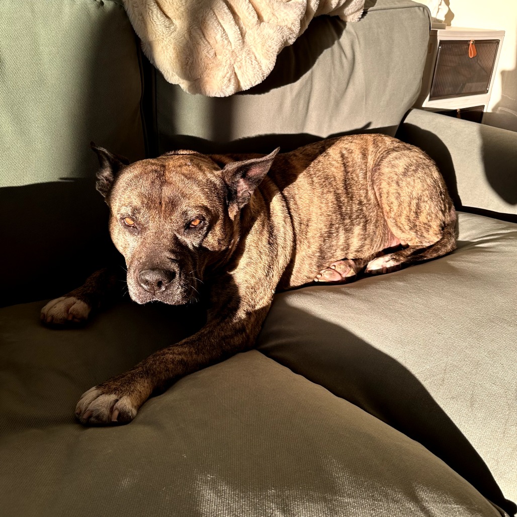 Mamas — thumbnail 3