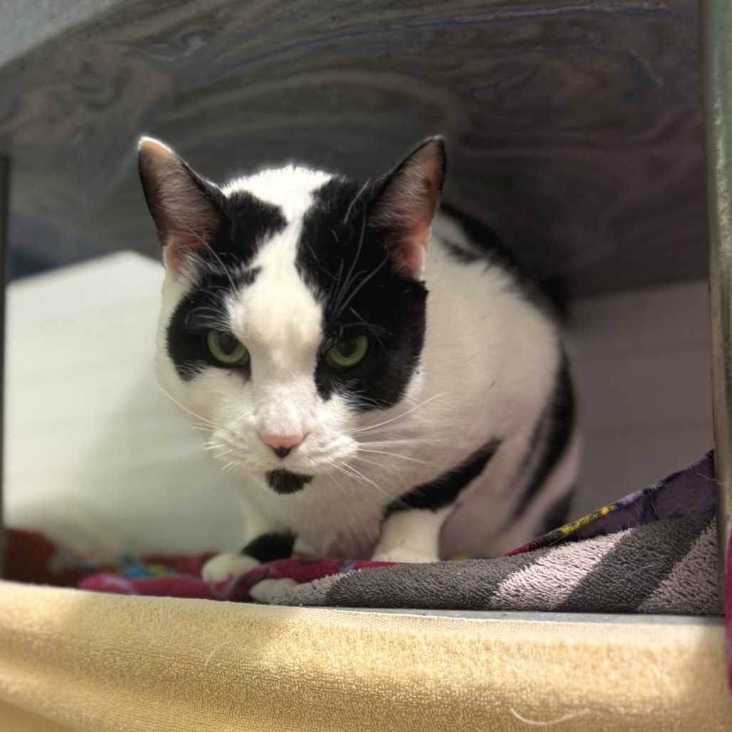 Photo of QZ and Freddy 6