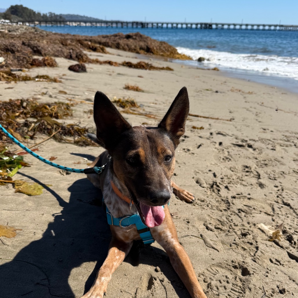 Cash, photo 32