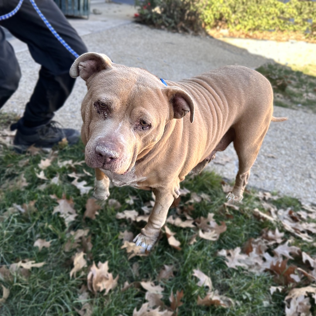 Ellie Belly, additional photo