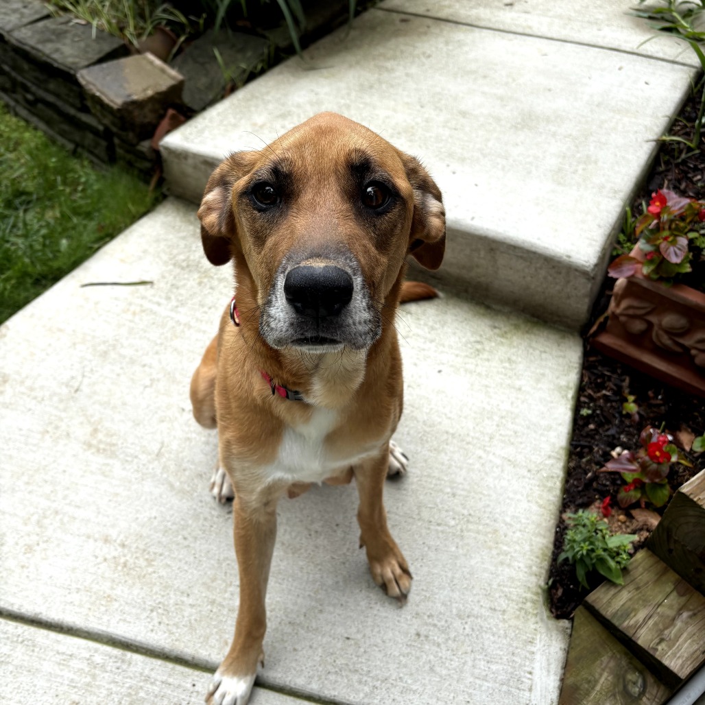 Cammie, photo 3
