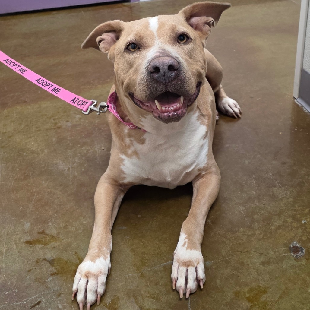 Velma — thumbnail 2