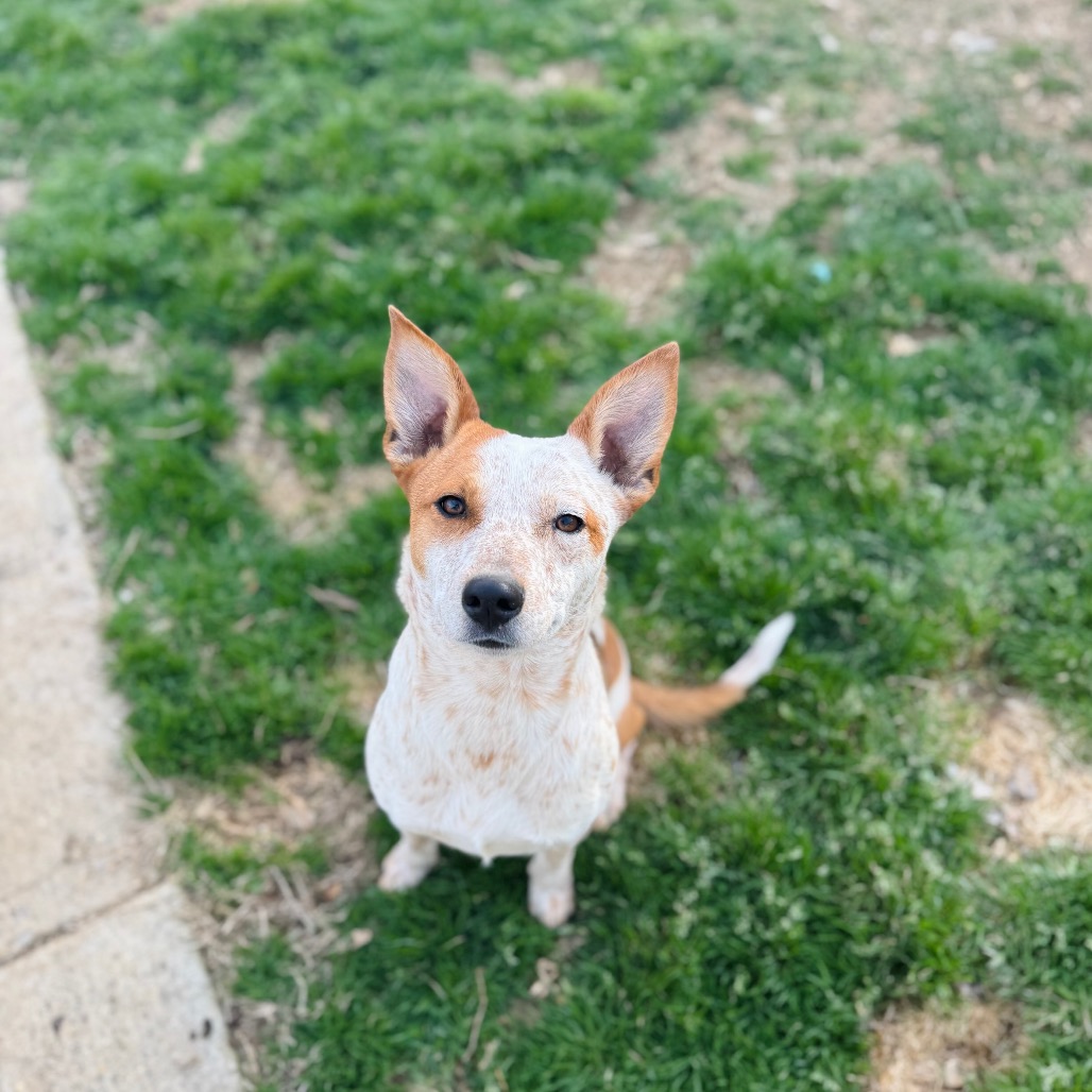 Valorie — thumbnail 5