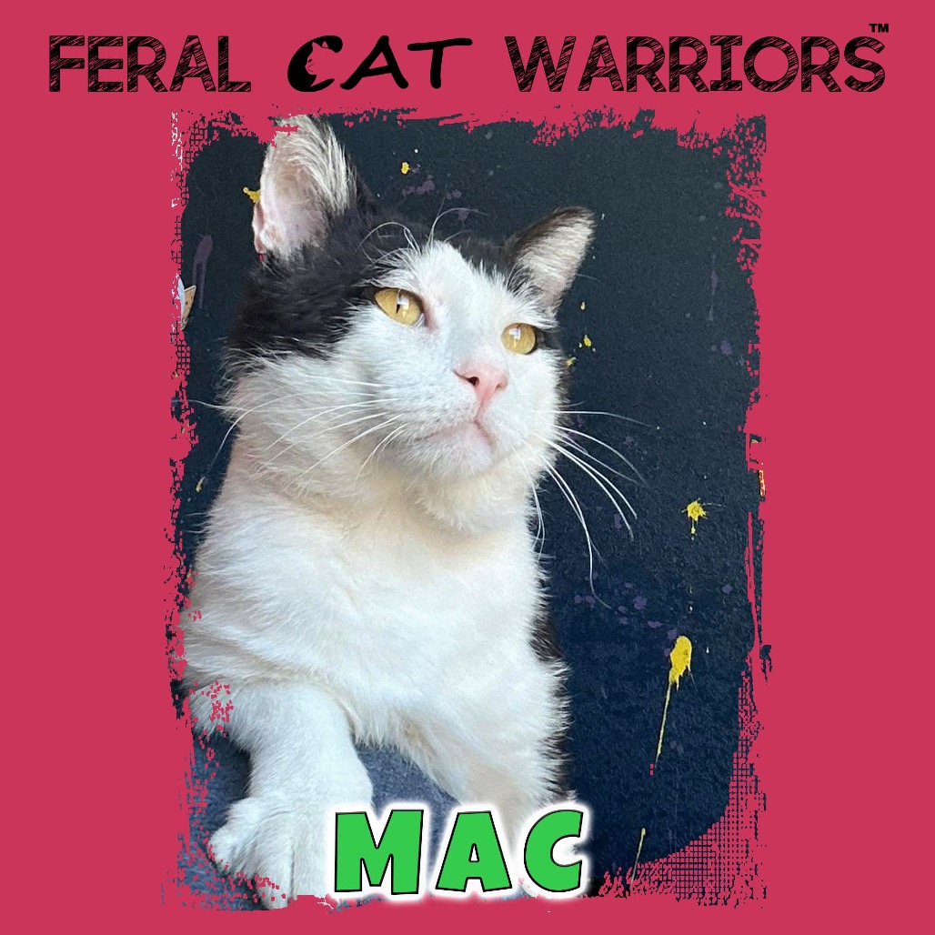Mac