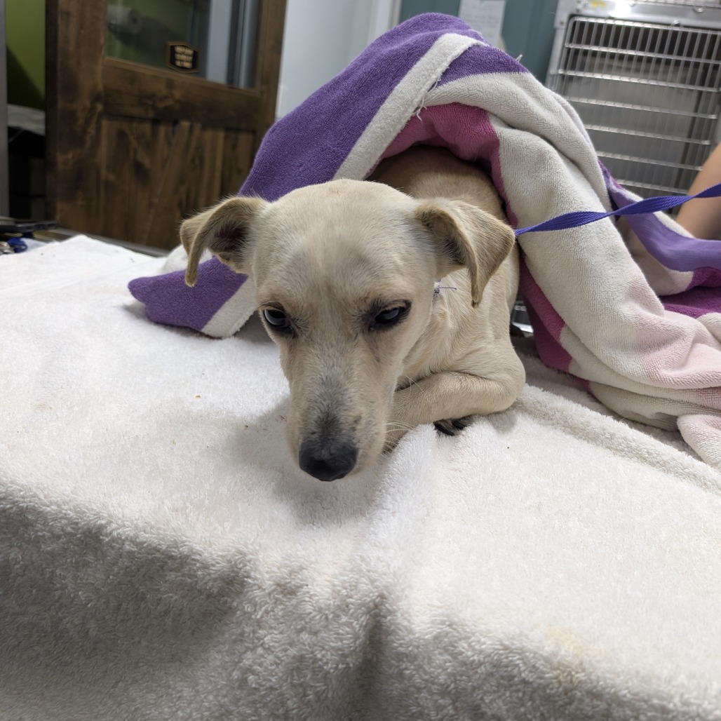 Mateo — thumbnail 2