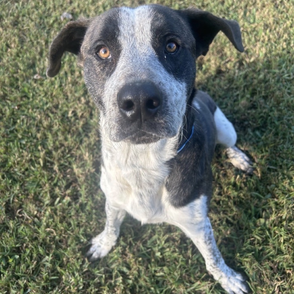 Marco — thumbnail 5