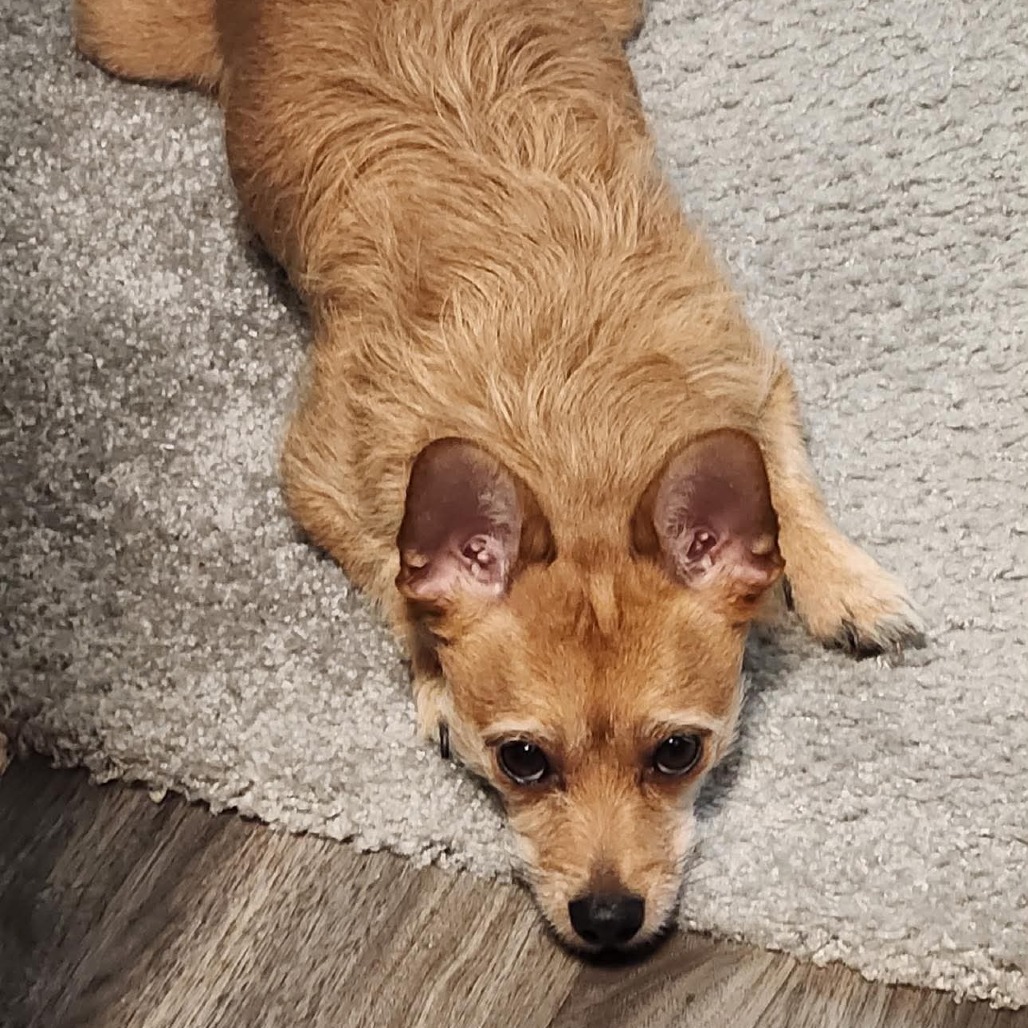 Photo of Charlie
