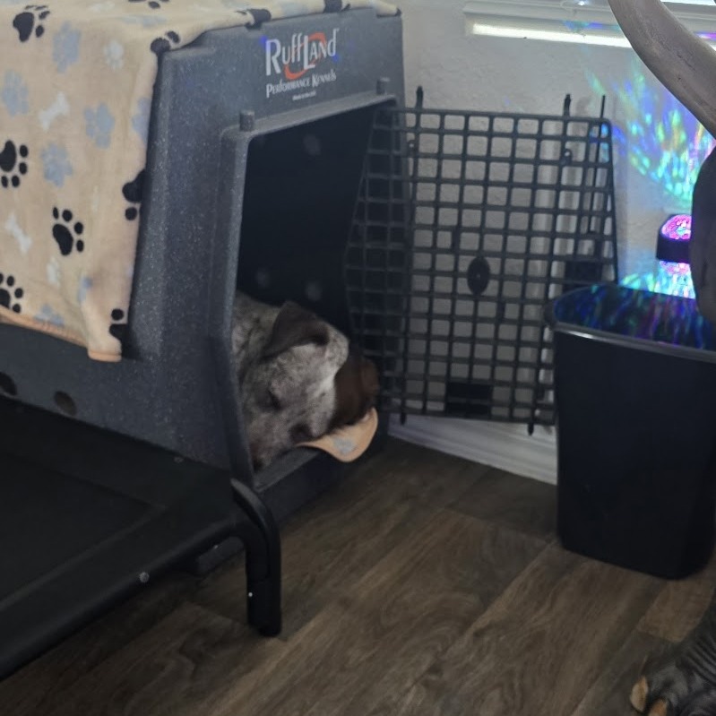 LIL SEBASTIAN, photo 25