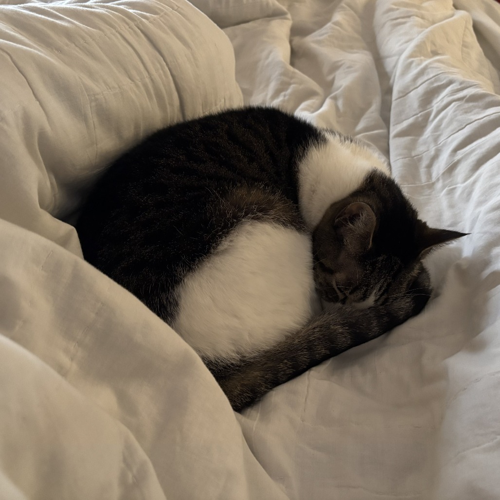 Tuna, photo 2