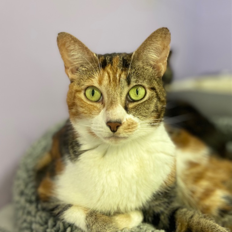 Full body shot of Wilma