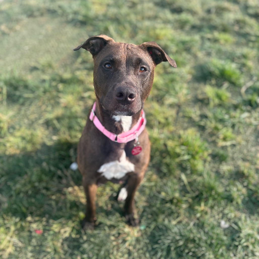 Mimi