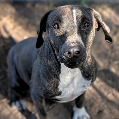 Cookie Cuddles — thumbnail 8