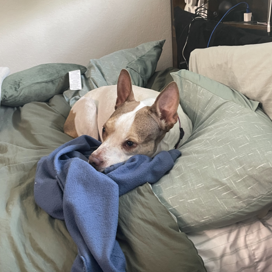 Cash, additional photo