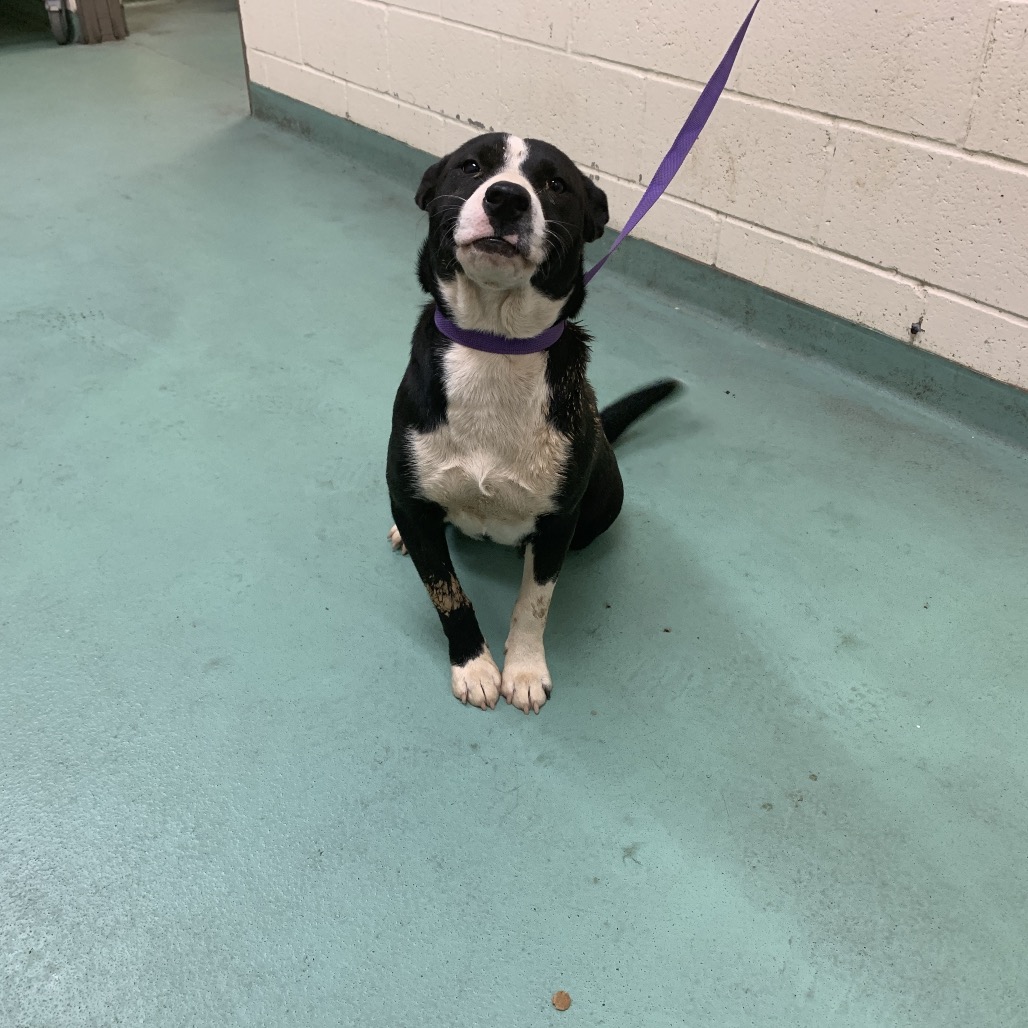 Aphrodite — thumbnail 2