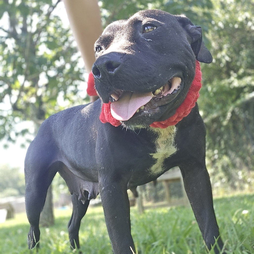 Brooklyn — thumbnail 3